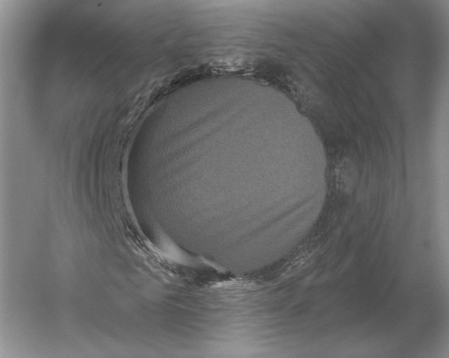 X0000052980961200508051037