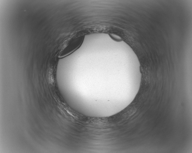 X0000052980962200508051037