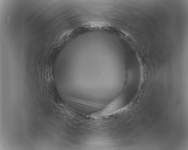 X0000052980965200508051037