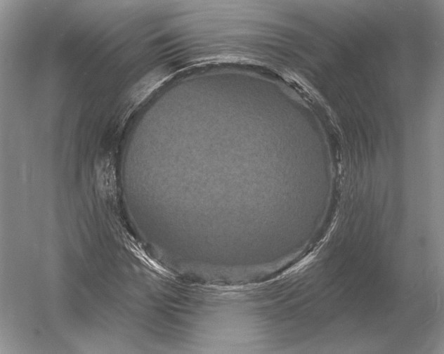 X0000052980969200508051036