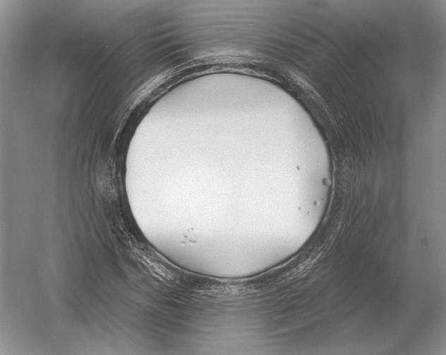 X0000052980970200508051036