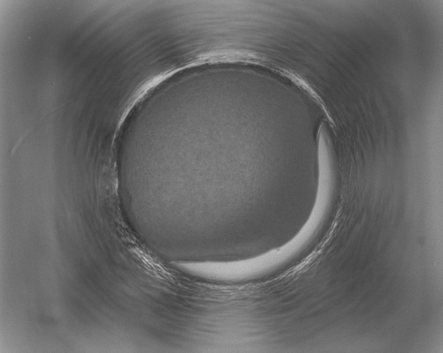 X0000052980973200508051036