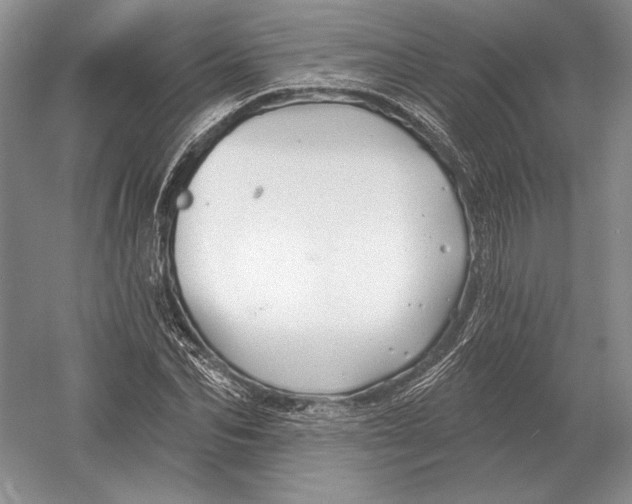 X0000052980974200508051036