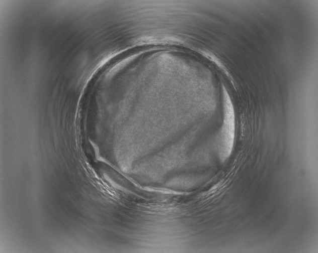 X0000052980975200508051036