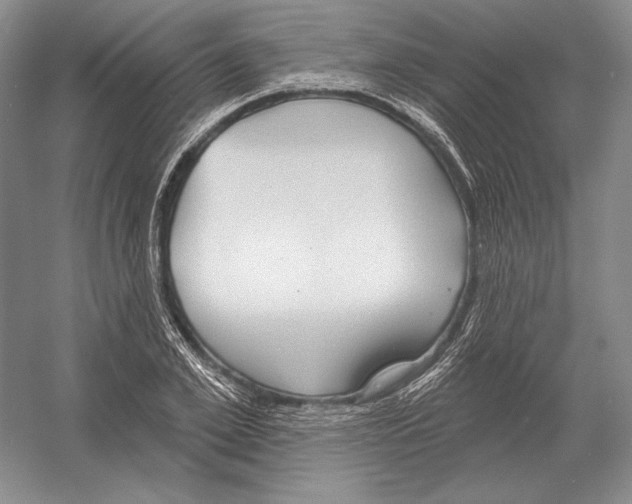 X0000052980981200508051036