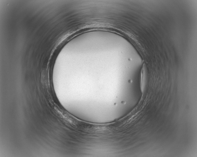 X0000052980982200508051036