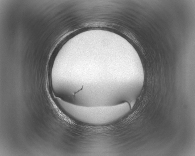 X0000052980984200508051036