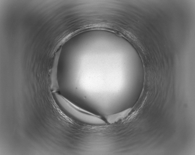 X0000052980985200508051036