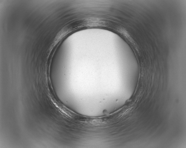 X0000052980986200508051036