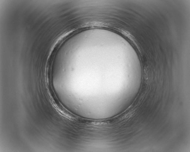 X0000052980987200508051036