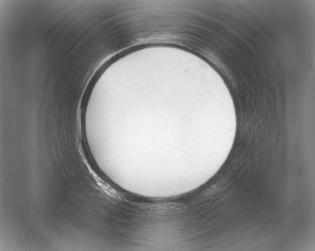 X0000052980988200508051036