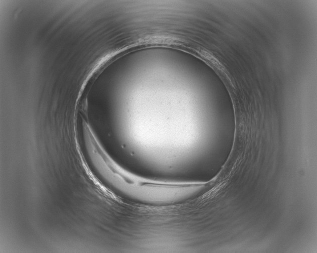 X0000052980989200508051036