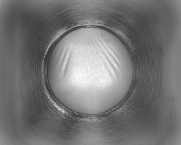 X0000052980990200508051036