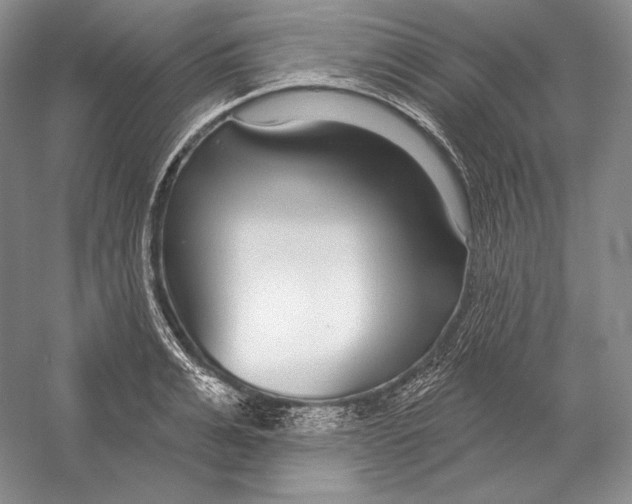 X0000052980991200508051036