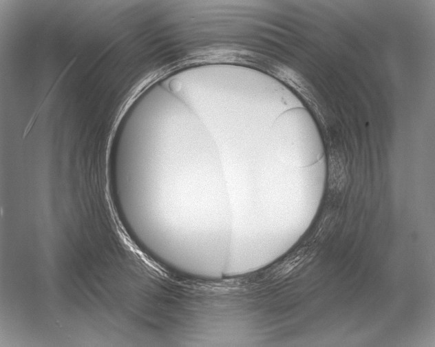 X0000052980994200508051036