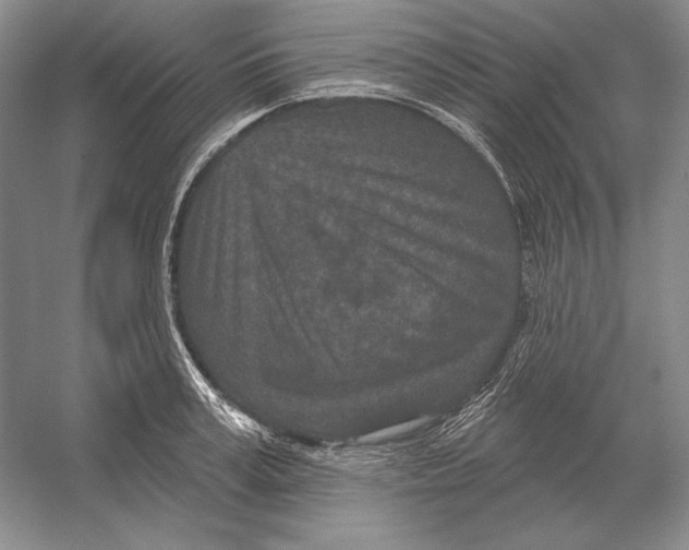 X0000052980995200508051036