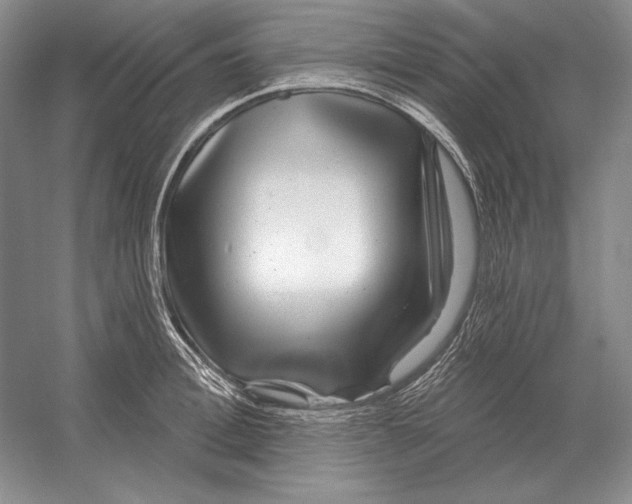 X0000052980996200508051036