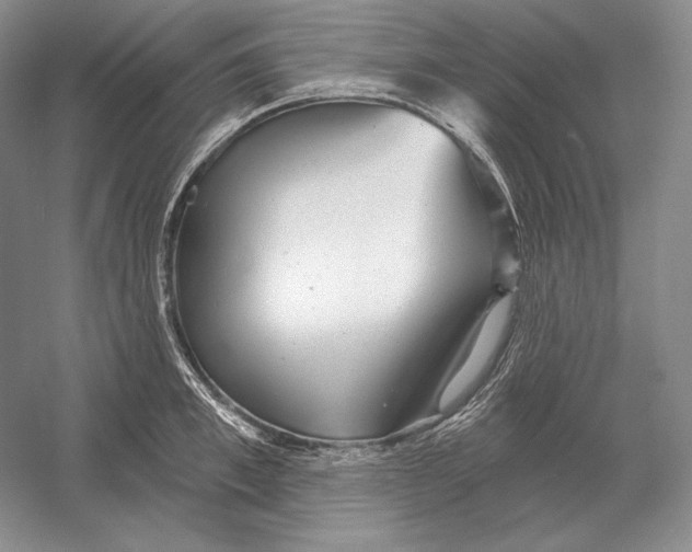 X0000052980997200508051036