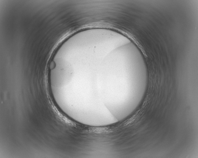 X0000052980998200508051036