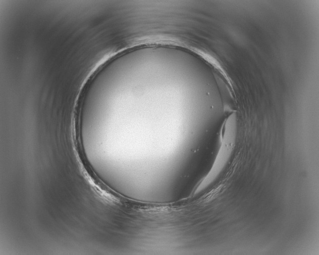 X0000052980999200508051036