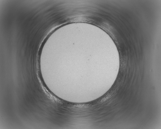 X0000052981000200508051036