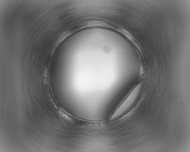 X0000052981001200508051036