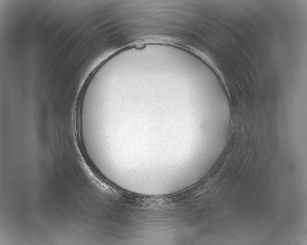 X0000052981003200508051036