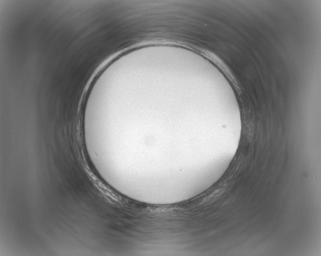 X0000052981004200508051036