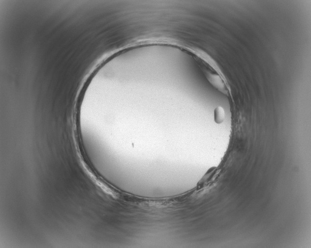 X0000052981005200508051036