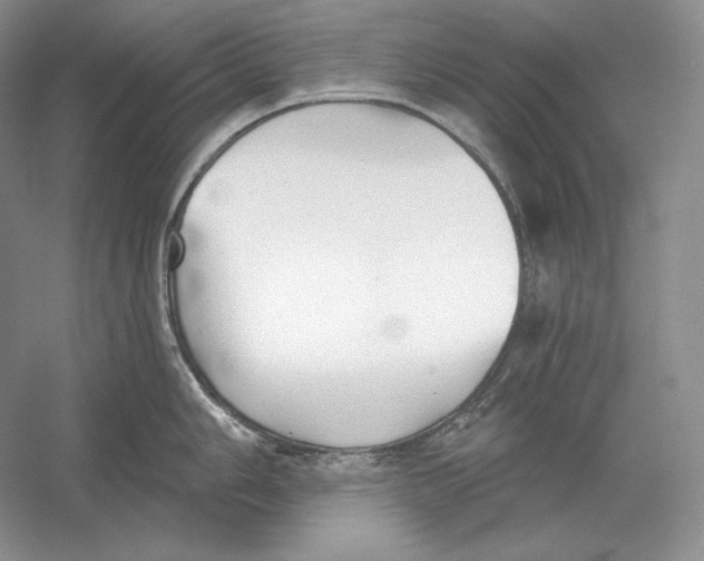 X0000052981006200508051036