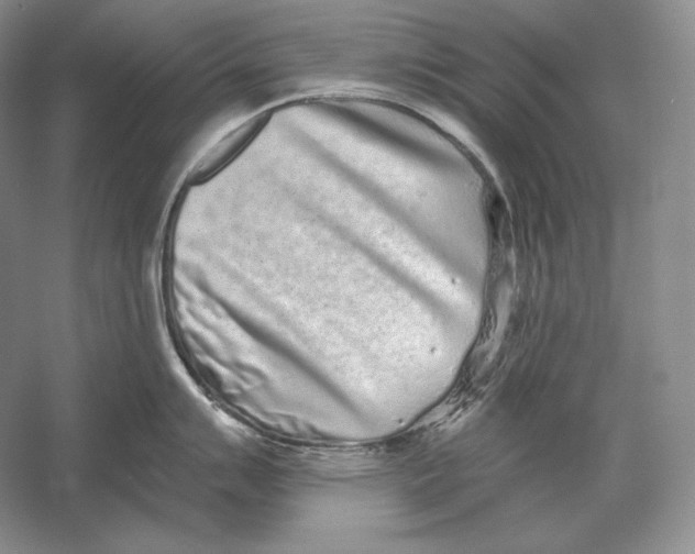 X0000052981007200508051036