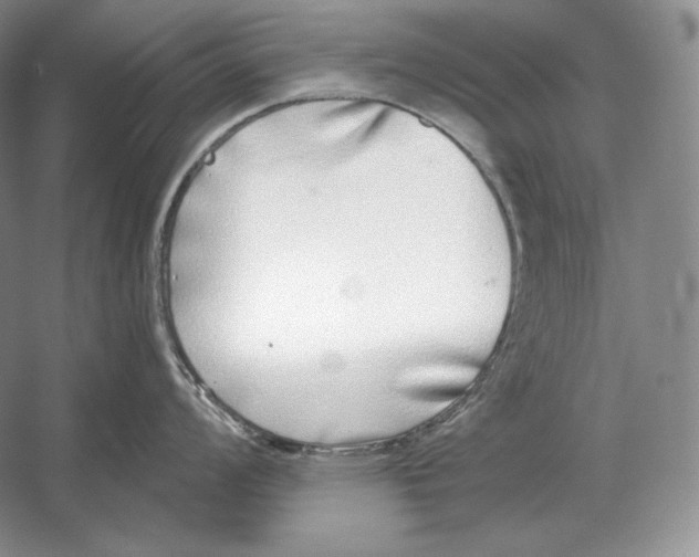 X0000052981008200508051036