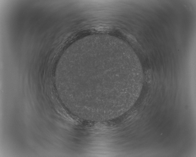 X0000052981009200508051035