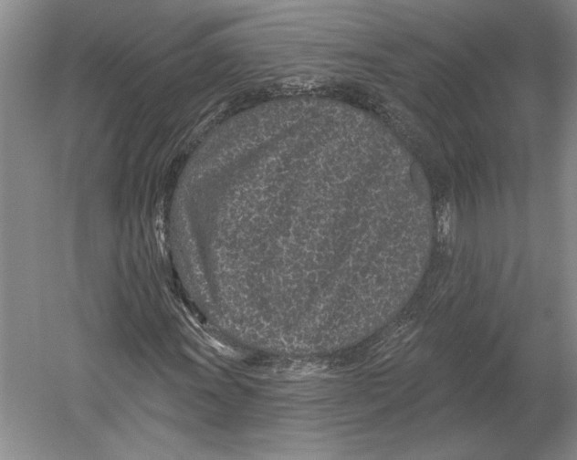 X0000052981011200508051035