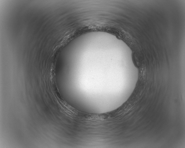 X0000052981012200508051035