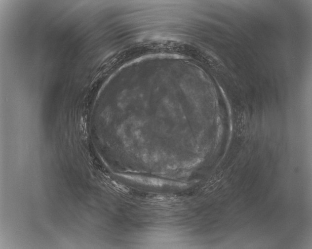 X0000052981013200508051035