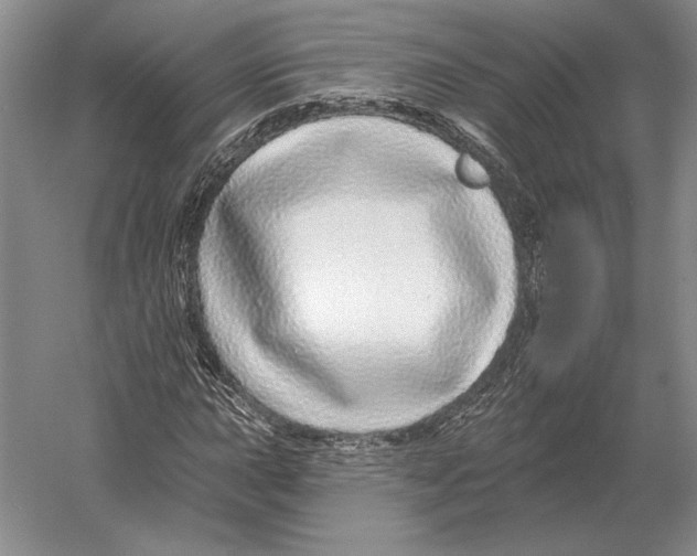 X0000052981015200508051035