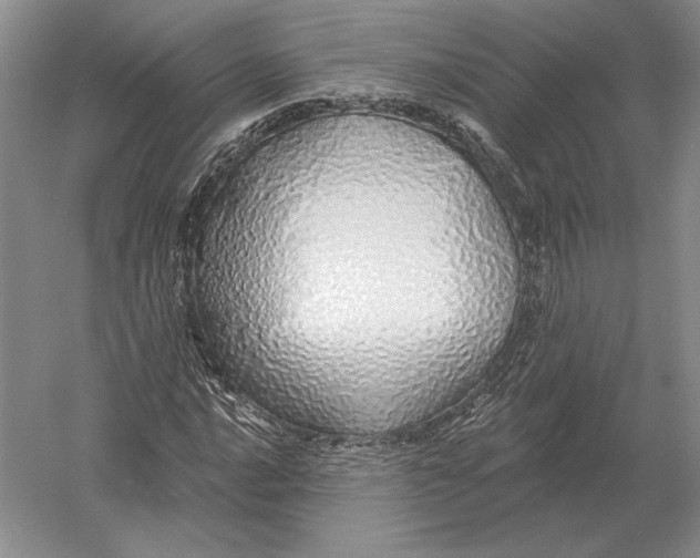 X0000052981016200508051035