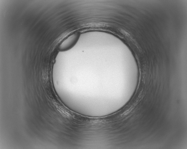 X0000052981017200508051035