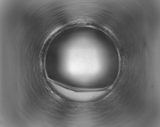 X0000052981018200508051035