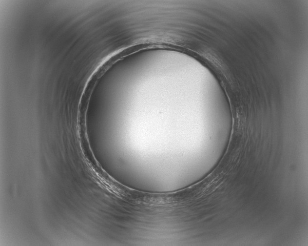 X0000052981020200508051035