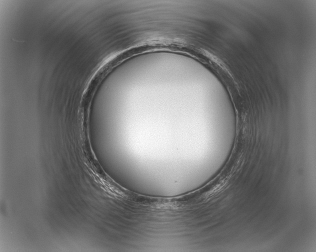 X0000052981021200508051035