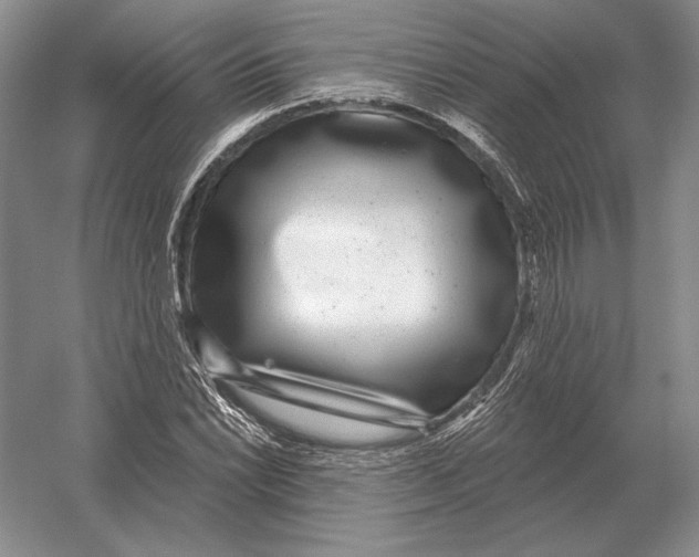 X0000052981022200508051035