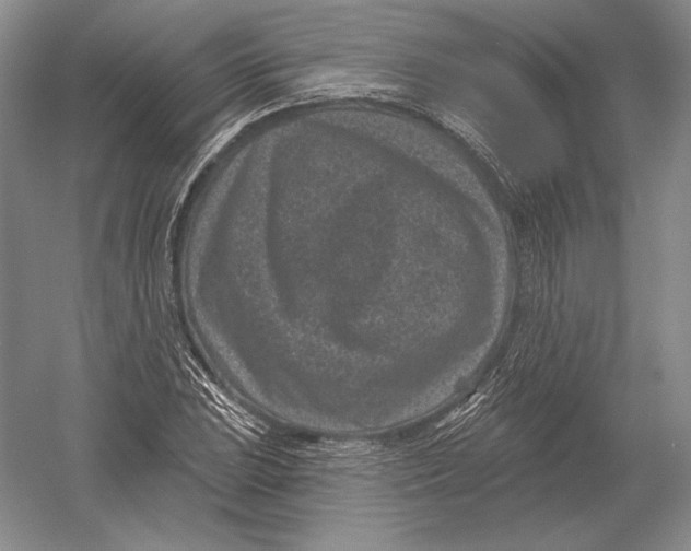 X0000052981023200508051035