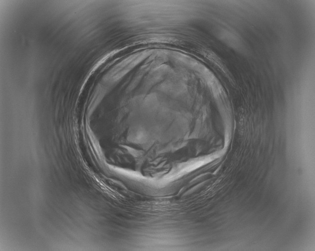 X0000052981024200508051035