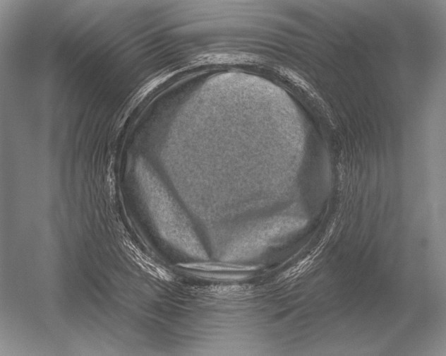 X0000052981025200508051035