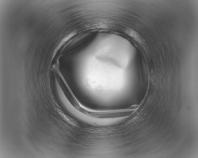 X0000052981026200508051035