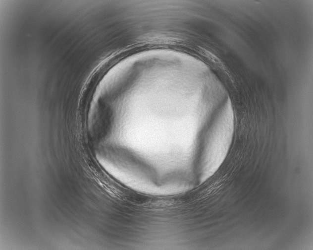 X0000052981027200508051035