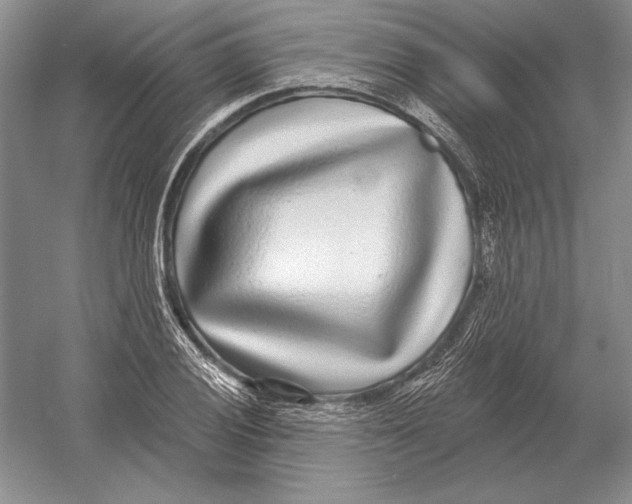 X0000052981028200508051035