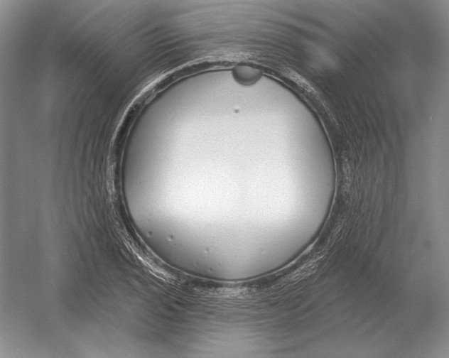 X0000052981029200508051035